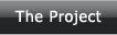 The Project